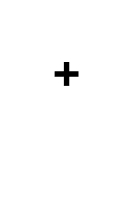 +