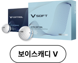보이스캐디 V